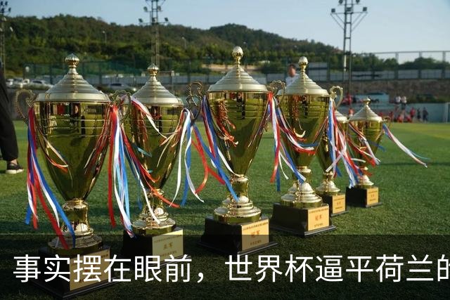事实摆在眼前，世界杯逼平荷兰的日本男足，早已走出一条独属于自己的发展道路